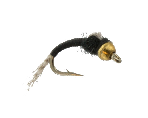 Beadhead WD 40 Black, Fly Fishing Flies, Nymphs. Discount flies at theflystop.com. High Resolution.