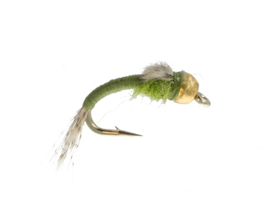 Beadhead WD 40 Olive, Fly Fishing Flies, Nymphs. Discount flies at theflystop.com. High Resolution.