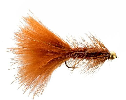 Beadhead Woolly Bugger, Brown Carp