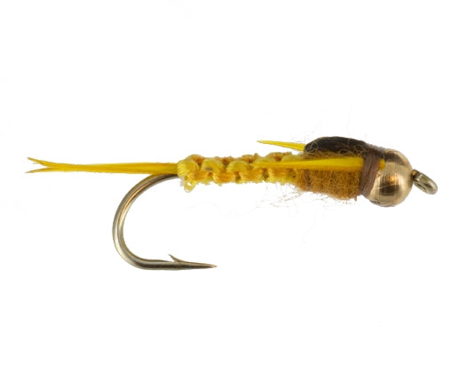 Beadhead Woven Stonefly, Golden
