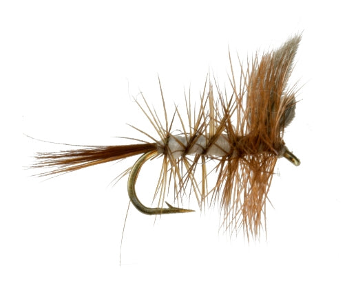 Beaverkill fly fishing fly