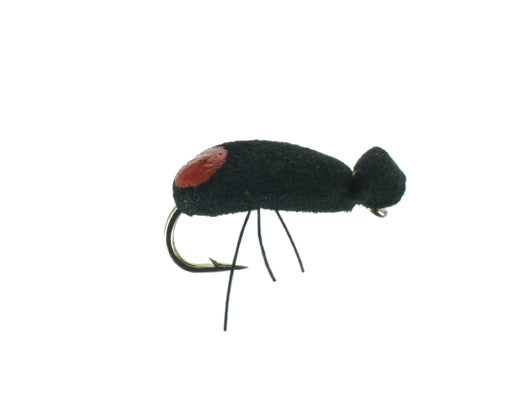 Beetle, Foam