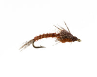 Biot Nymph
