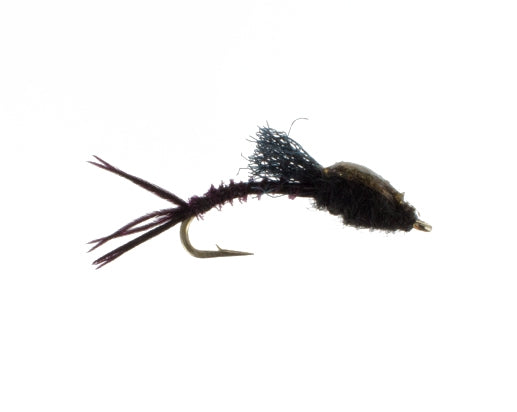 Biot Stonefly, Epoxy