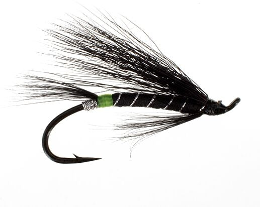 Black Bear,Green Butt