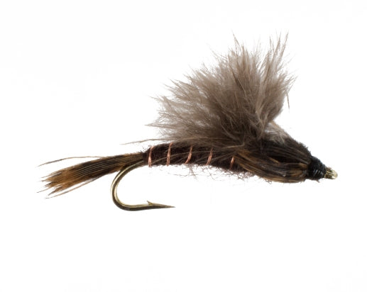 Black Drake Nymph