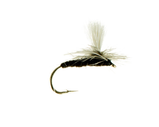Black Drake, Parachute
