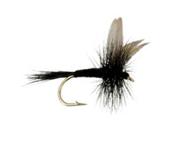 Black Gnat