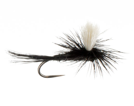 Black Gnat, Parachute Barbless