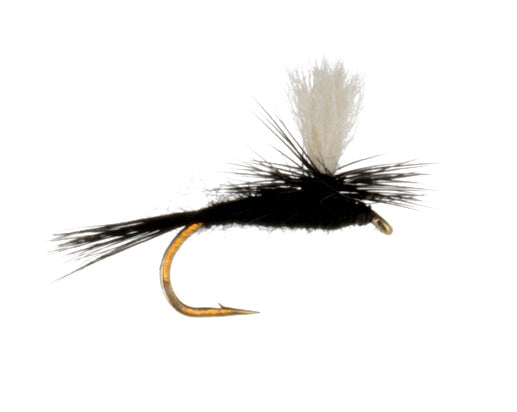 Black Gnat, Parachute