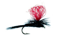 Black Gnat, Twilight