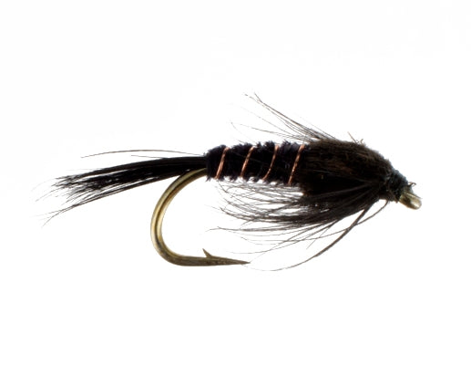 Black Nymph