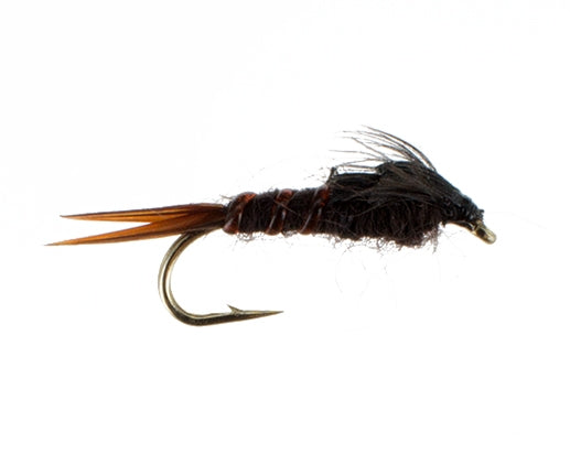 Early Black Stonefly Short Shank