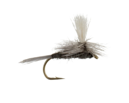 Blue Dun, Parachute