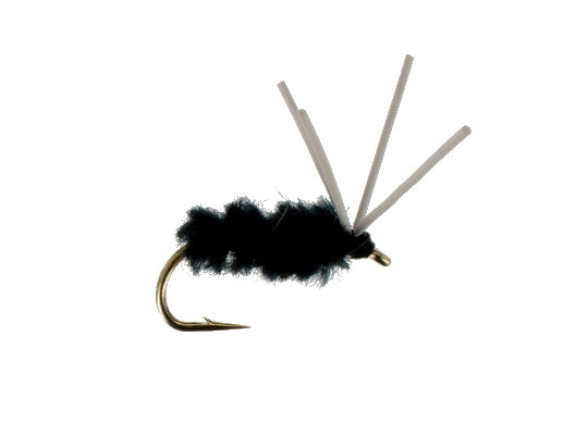 Bluegill Spider, Black
