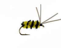 Bluegill Spider, Bumblebee