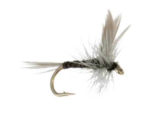 Blue Quill
