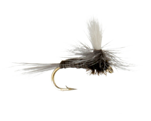 Blue Quill, Parachute