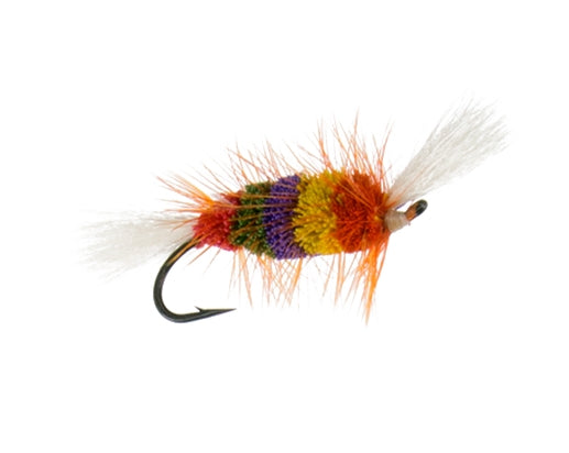 Bomber, Rainbow