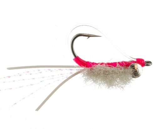 Bonefish- Bone Snack Crab