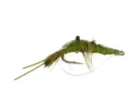 Bonefish-Saltwater Shrimp