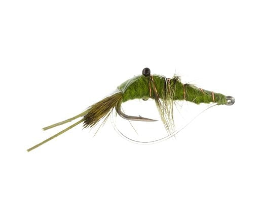 Bonefish-Saltwater Shrimp