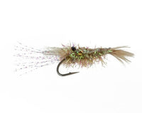 Bonefish-Sugar Shrimp