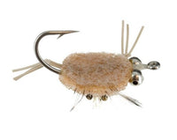 Bonefish-Swimming Crab