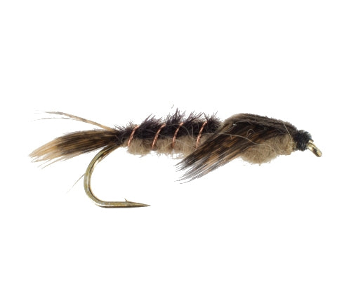 Brown Drake, Long Shank