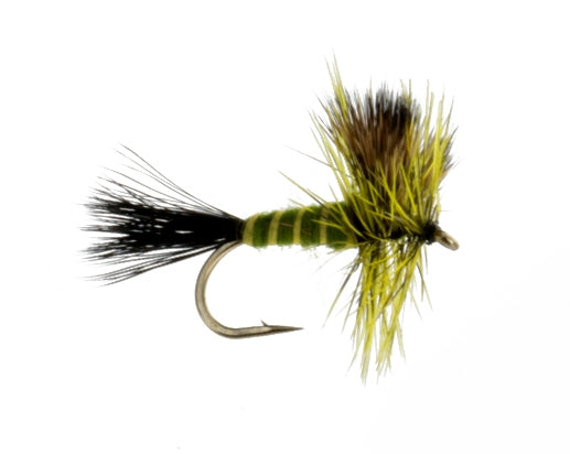 Brown Drake, Western
