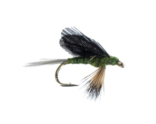 Burnt Wing, Blue Wing Olive
