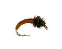 Caddis Larva, Brown