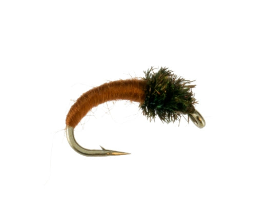 Caddis Larva, Brown