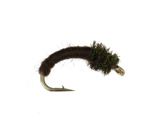 Caddis Larva, Chocolate