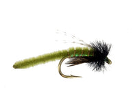 Caddis Poopah, Olive