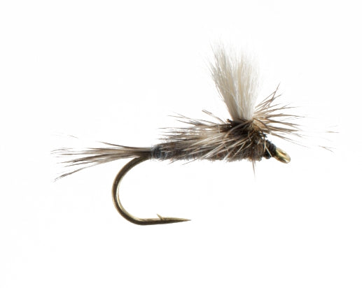 Callibaetis, Parachute