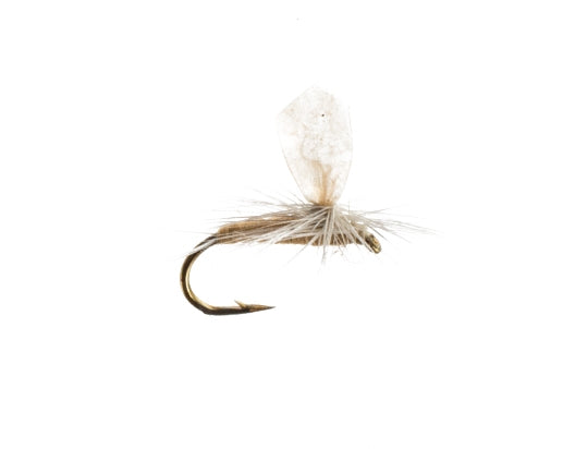 Callibaetis Zinger