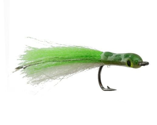 Candy Eel