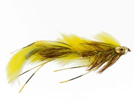 Candy-Man, Bighorn Tandem