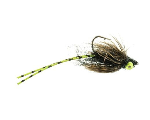 Carp Crack, Black Carp