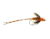 Carp Crack, Brown Carp