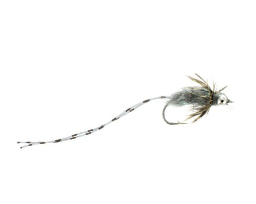 Carp Crack, Gray Carp