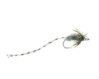 Carp Crack, Gray Carp