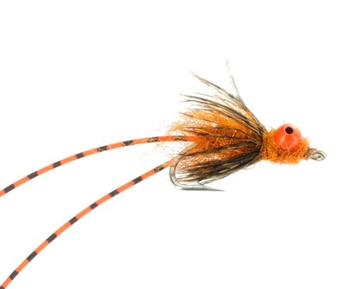 Carp Crack, Orange Carp