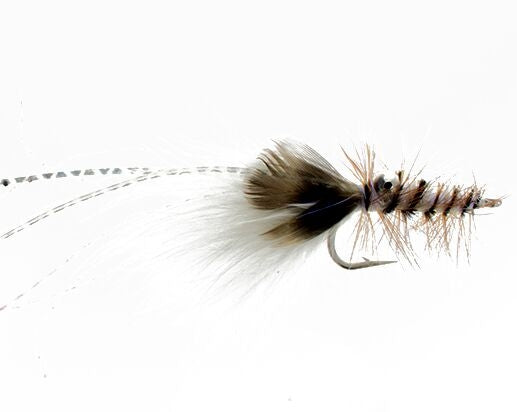 Carp Crawdad, Gray Carp
