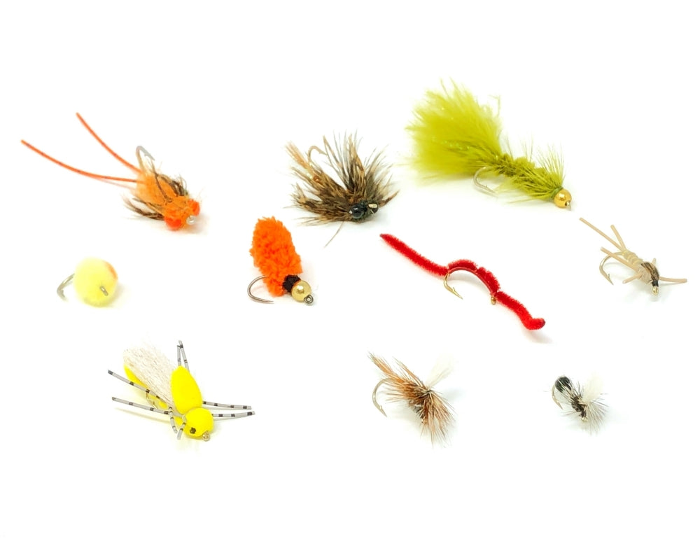 Carp Fly Assortment
