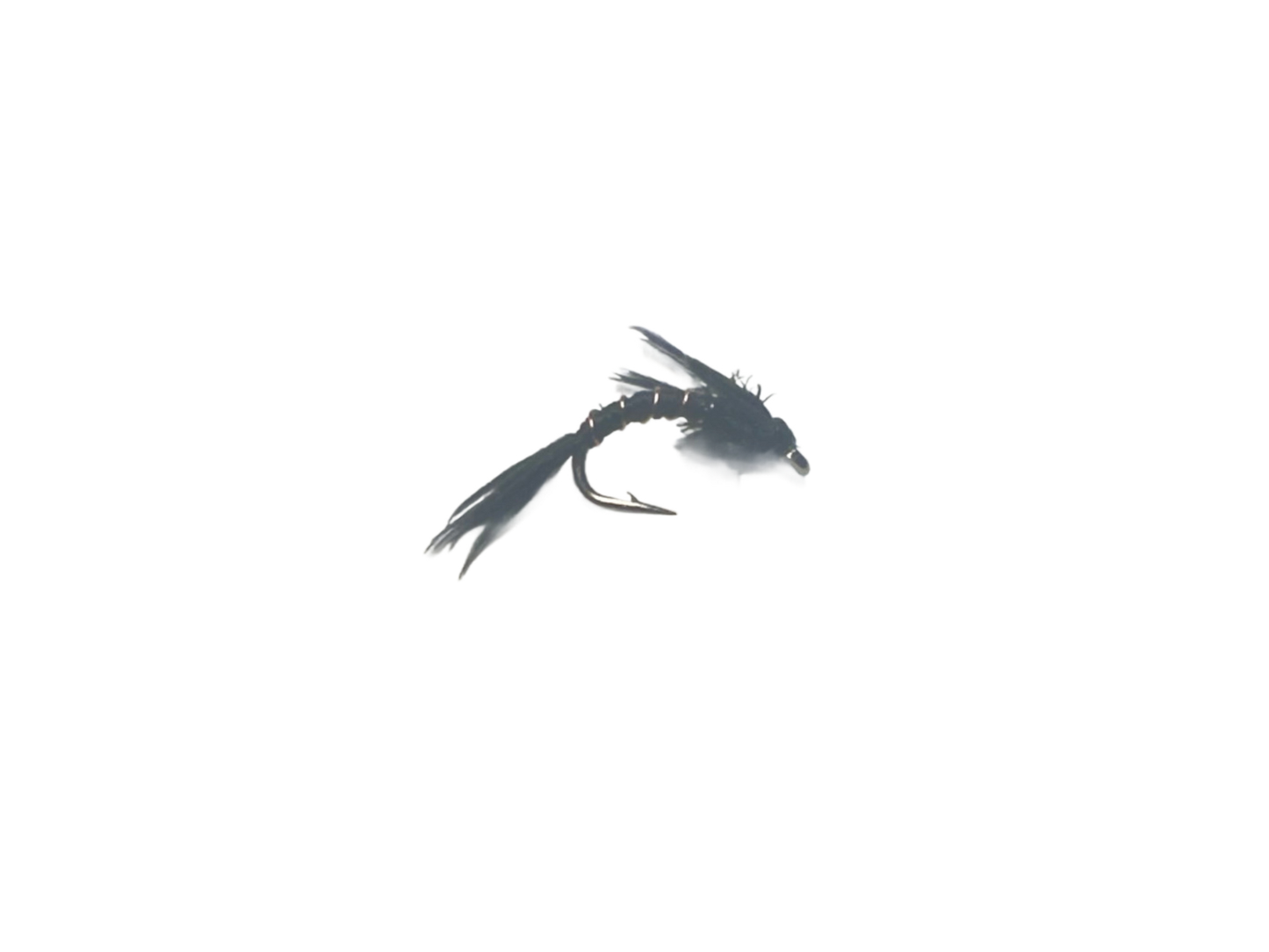 Catch's Flashback Quill, Black