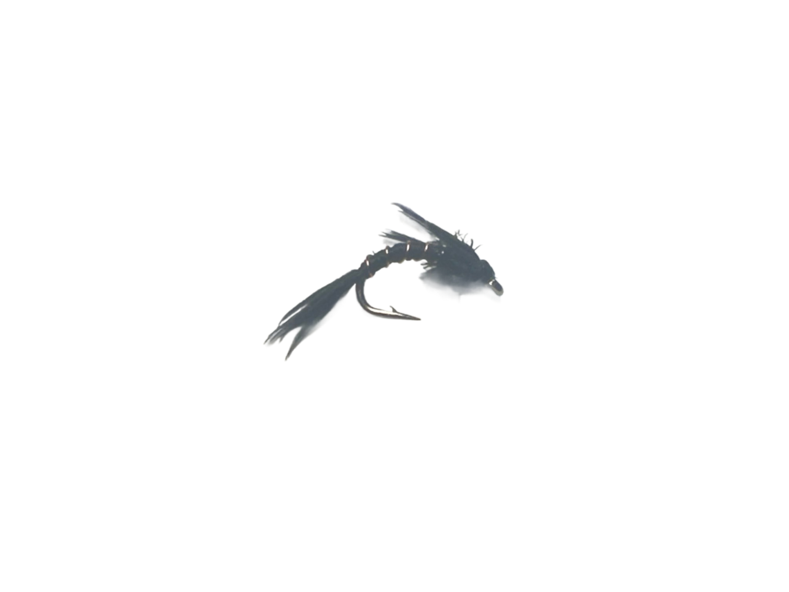 Catch's Flashback Quill, Black