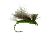CDC Caddis Olive, Fly Fishing Flies, Dry Flies. Discount flies at theflystop.com. Small Image.