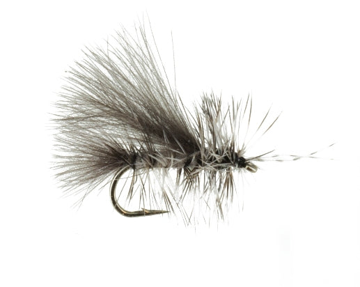 Chickabou Caddis